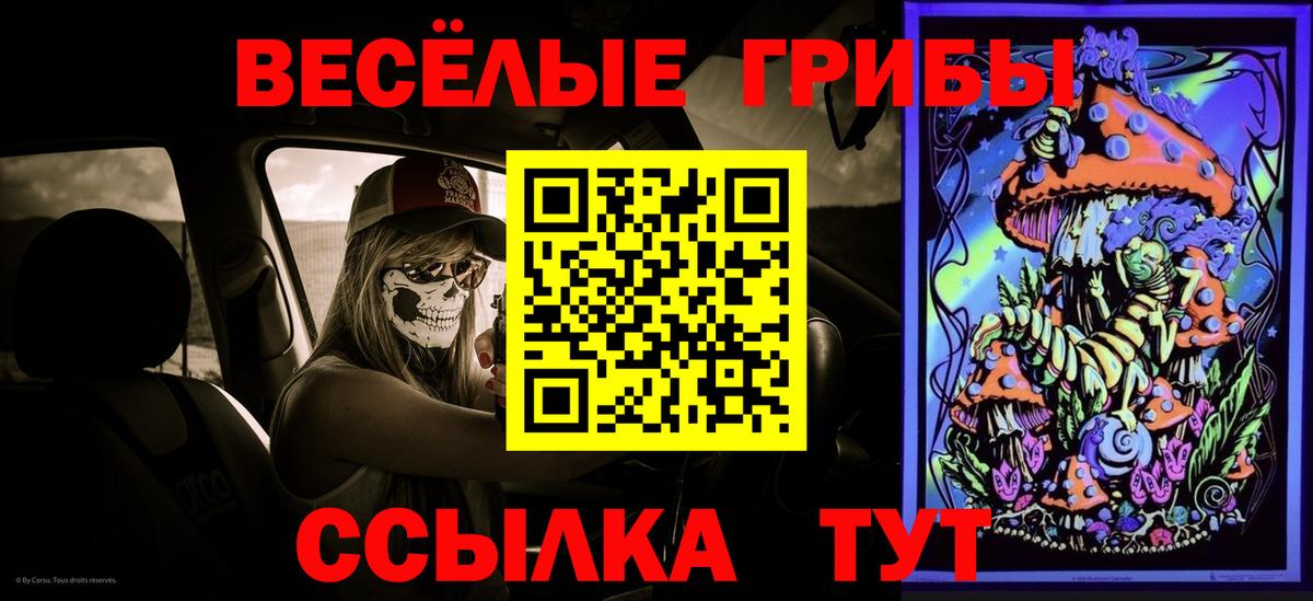 Дмитров  Псилоцибиновые грибы прущие грибы  Вход с VPN 