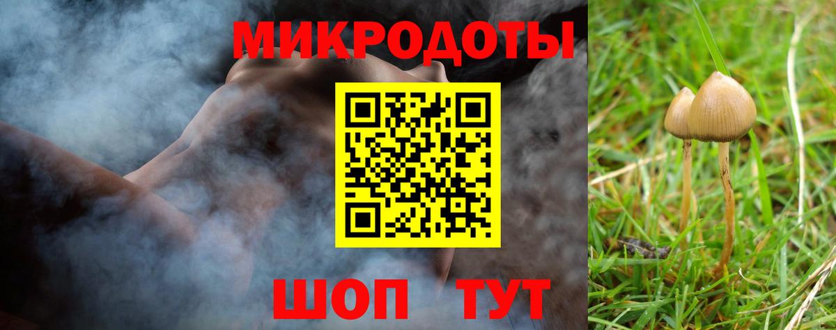 Псилоцибиновые грибы мицелий Дмитров